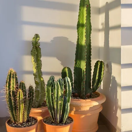 Moderno Con Impresionantes Vistas Al Mar