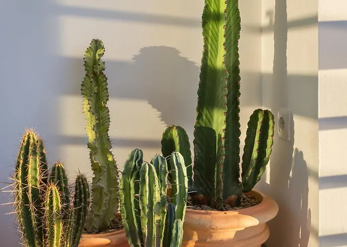 Casa Jose - Vistas Al Mar